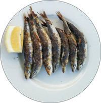 Sardinas - Sardines